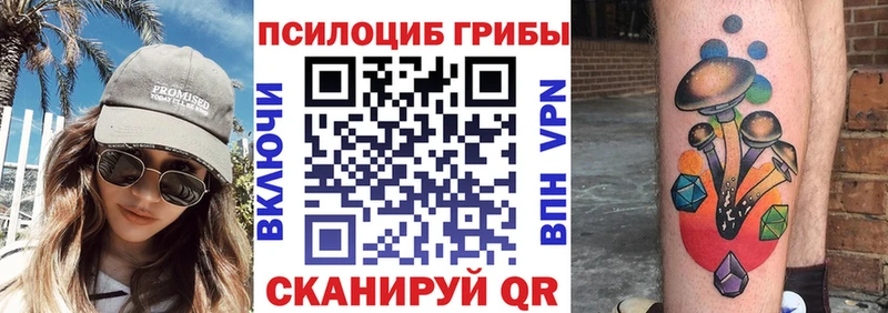Псилоцибиновые грибы прущие грибы  сколько стоит  Нерюнгри 